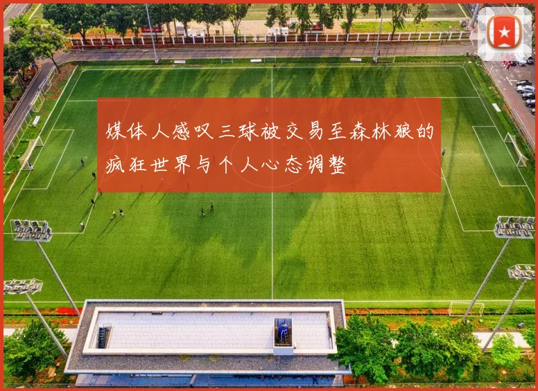 媒体人感叹三球被交易至森林狼的疯狂世界与个人心态调整